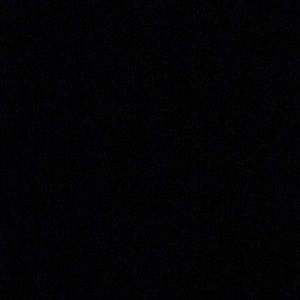 Meet your Posher, Whitnry